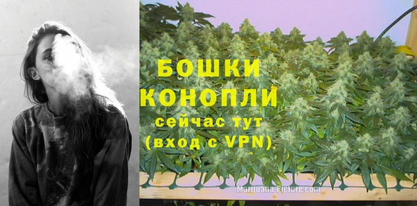 spice Балахна