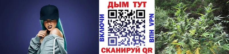 Бошки марихуана сатива  omg tor  Боготол 
